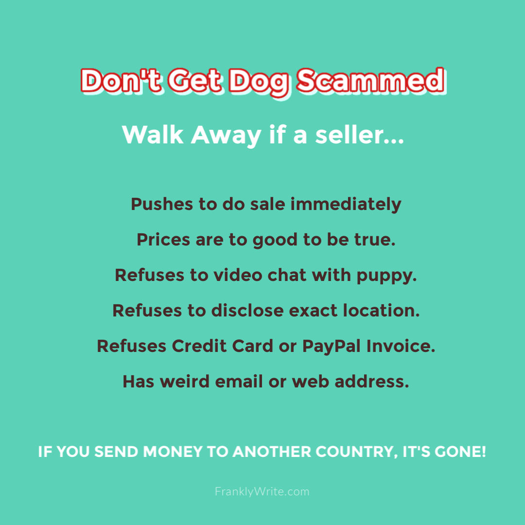 Don't Get Dog Scammed